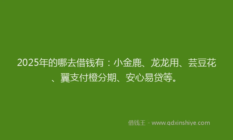 2025年的哪去借钱有：小金鹿、龙龙用、芸豆花、翼支付橙分期、安心易贷等。
