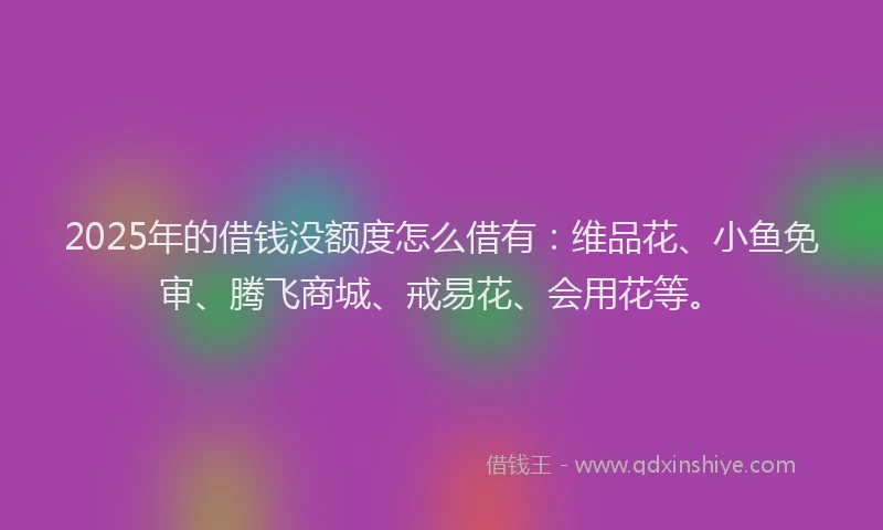 2025年的借钱没额度怎么借有：维品花、小鱼免审、腾飞商城、戒易花、会用花等。