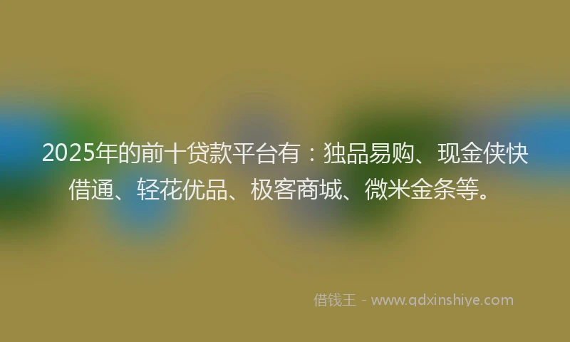 2025年的前十贷款平台有：独品易购、现金侠快借通、轻花优品、极客商城、微米金条等。