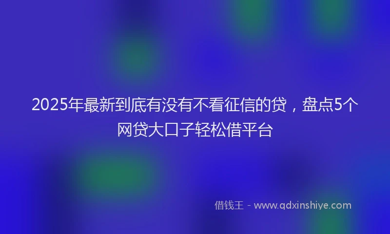 2025年最新到底有没有不看征信的贷，盘点5个网贷大口子轻松借平台