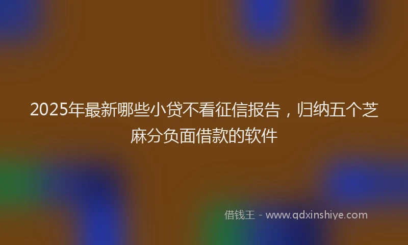 2025年最新哪些小贷不看征信报告，归纳五个芝麻分负面借款的软件
