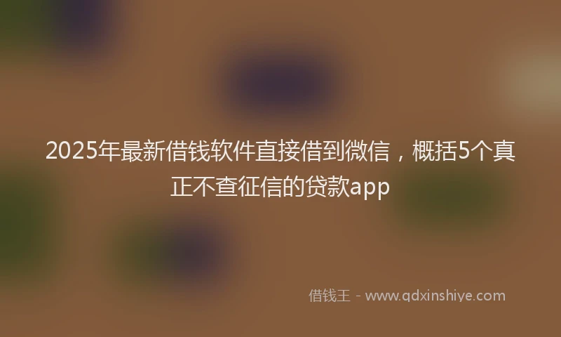 2025年最新借钱软件直接借到微信，概括5个真正不查征信的贷款app