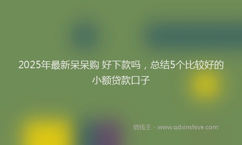 2025年最新呆呆购 好下款吗，总结5个比较好的小额贷款口子