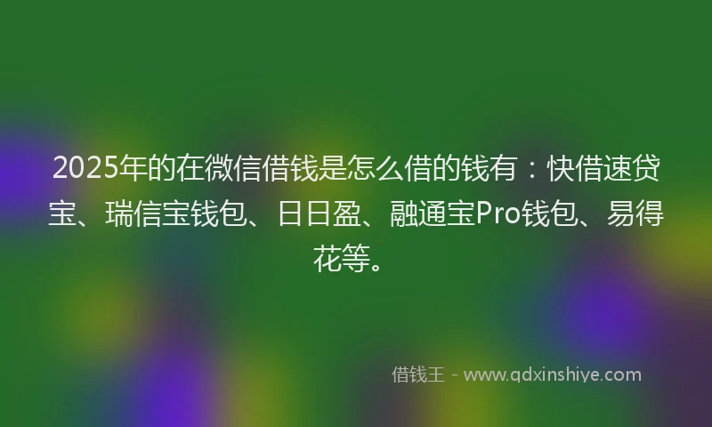 2025年的在微信借钱是怎么借的钱有：快借速贷宝、瑞信宝钱包、日日盈、融通宝Pro钱包、易得花等。