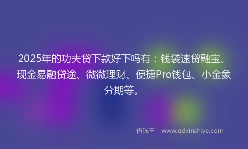 2025年的功夫贷下款好下吗有：钱袋速贷融宝、现金易融贷途、微微理财、便捷Pro钱包、小金象分期等。