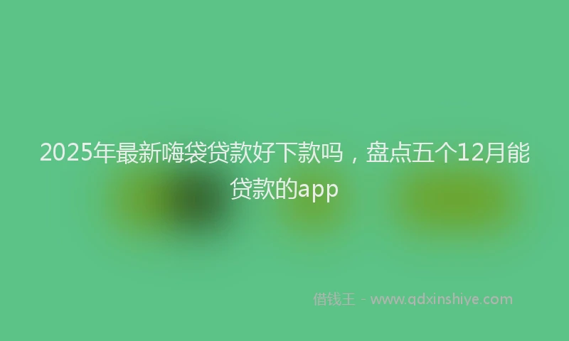 2025年最新嗨袋贷款好下款吗，盘点五个12月能贷款的app