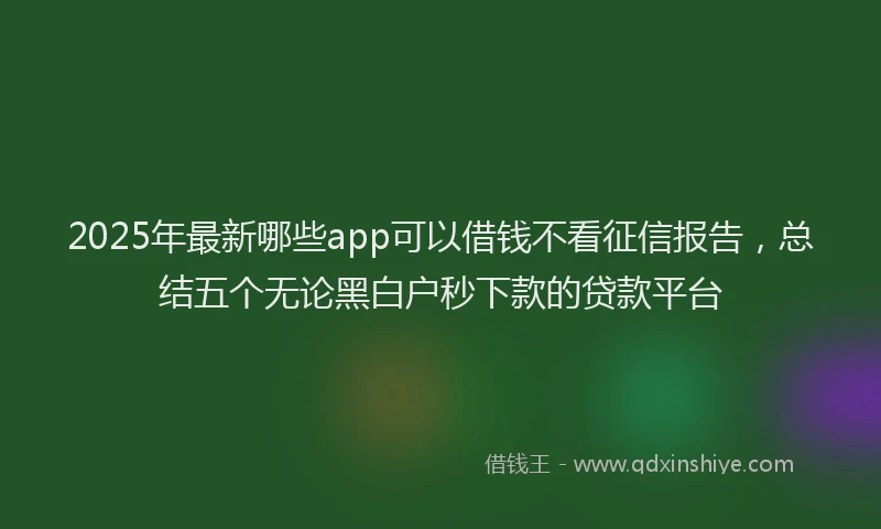 2025年最新哪些app可以借钱不看征信报告，总结五个无论黑白户秒下款的贷款平台