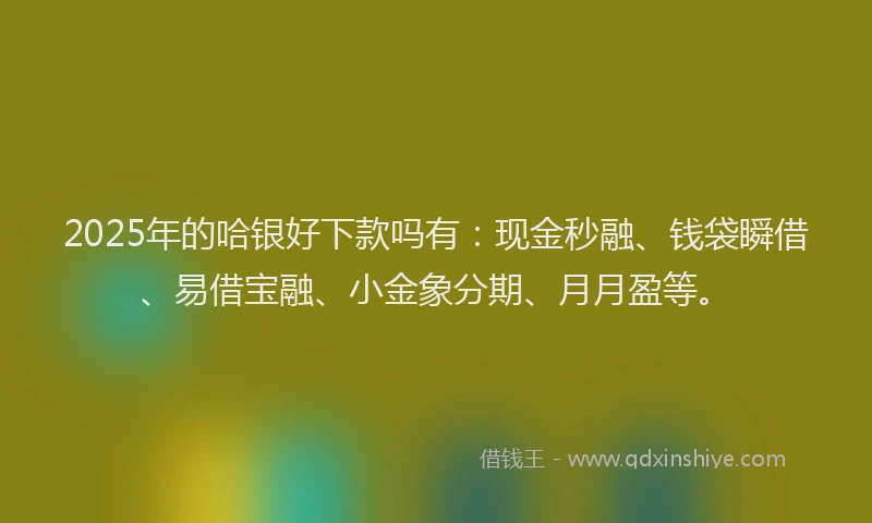 2025年的哈银好下款吗有：现金秒融、钱袋瞬借、易借宝融、小金象分期、月月盈等。