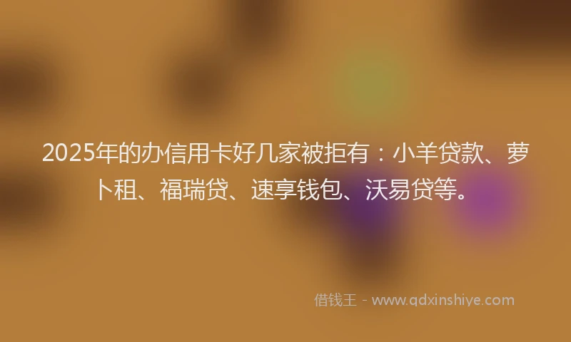 2025年的办信用卡好几家被拒有：小羊贷款、萝卜租、福瑞贷、速享钱包、沃易贷等。
