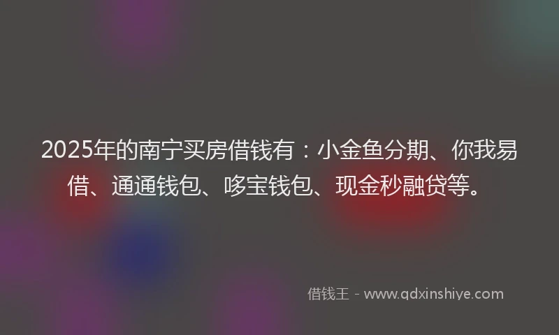 2025年的南宁买房借钱有：小金鱼分期、你我易借、通通钱包、哆宝钱包、现金秒融贷等。
