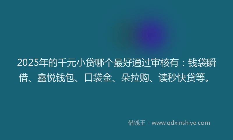 2025年的千元小贷哪个最好通过审核有：钱袋瞬借、鑫悦钱包、口袋金、朵拉购、读秒快贷等。