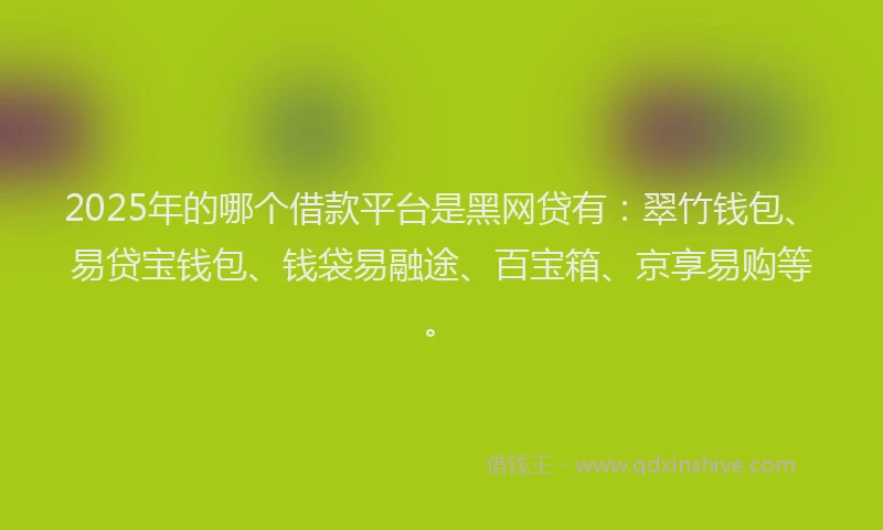 2025年的哪个借款平台是黑网贷有：翠竹钱包、易贷宝钱包、钱袋易融途、百宝箱、京享易购等。