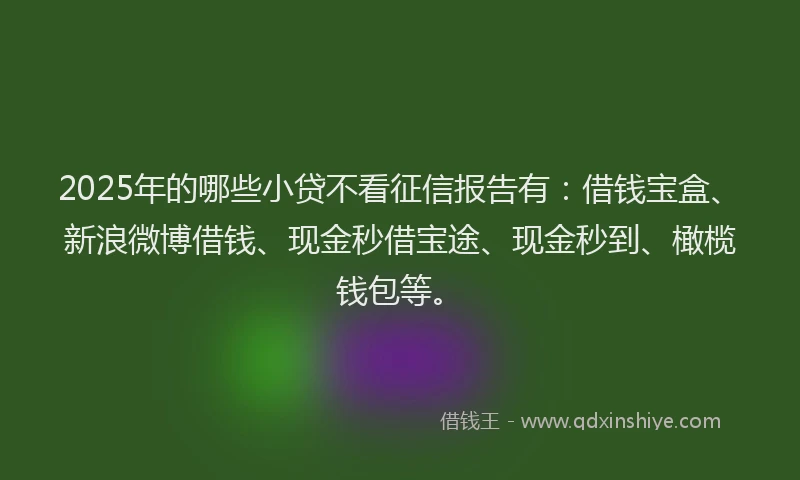 2025年的哪些小贷不看征信报告有：借钱宝盒、新浪微博借钱、现金秒借宝途、现金秒到、橄榄钱包等。