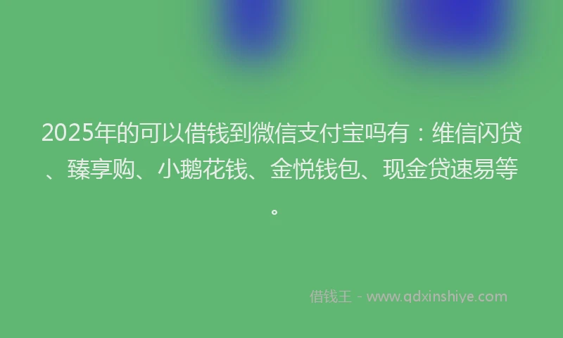 2025年的可以借钱到微信支付宝吗有：维信闪贷、臻享购、小鹅花钱、金悦钱包、现金贷速易等。