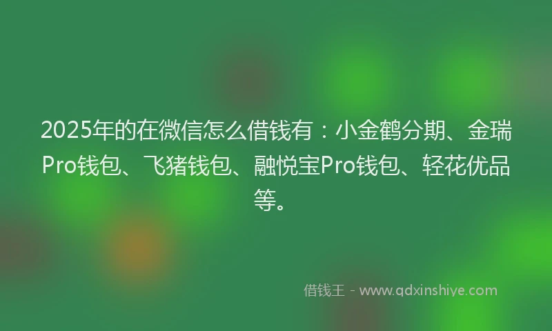 2025年的在微信怎么借钱有：小金鹤分期、金瑞Pro钱包、飞猪钱包、融悦宝Pro钱包、轻花优品等。