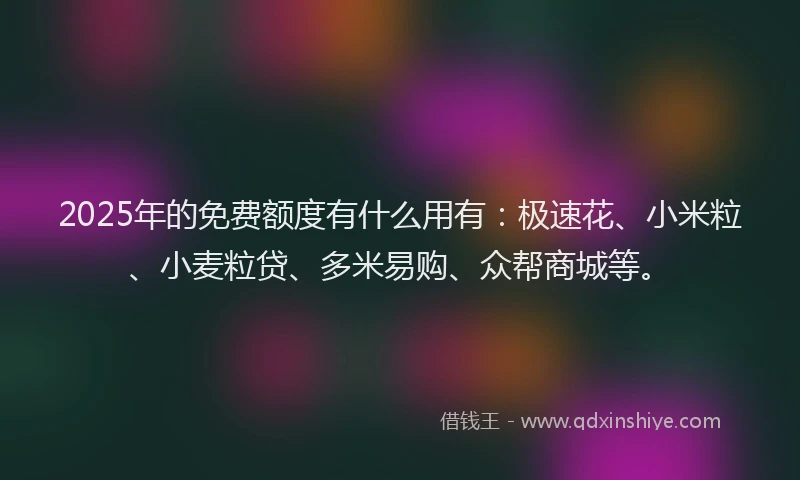 2025年的免费额度有什么用有：极速花、小米粒、小麦粒贷、多米易购、众帮商城等。