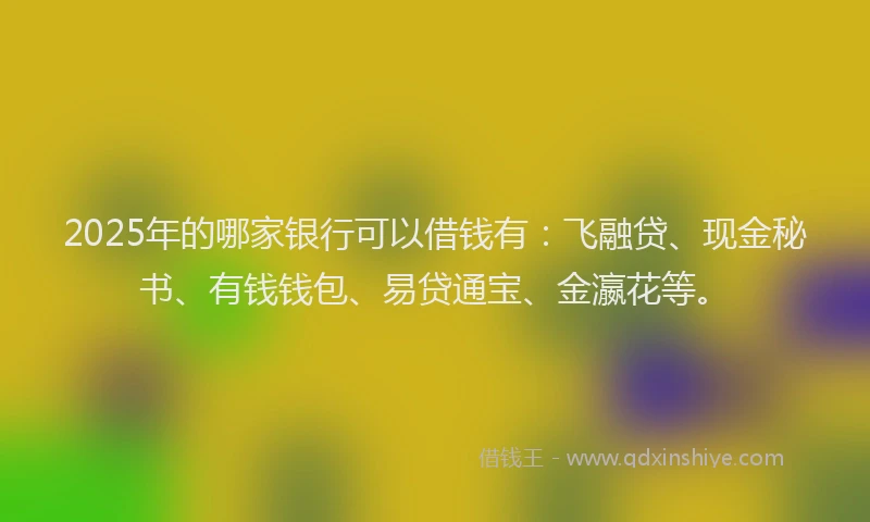 2025年的哪家银行可以借钱有：飞融贷、现金秘书、有钱钱包、易贷通宝、金瀛花等。