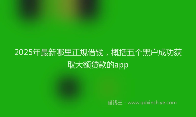2025年最新哪里正规借钱，概括五个黑户成功获取大额贷款的app