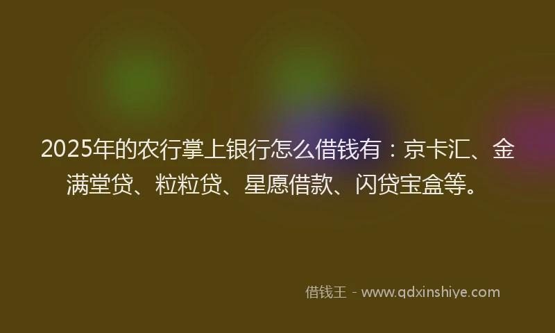 2025年的农行掌上银行怎么借钱有：京卡汇、金满堂贷、粒粒贷、星愿借款、闪贷宝盒等。