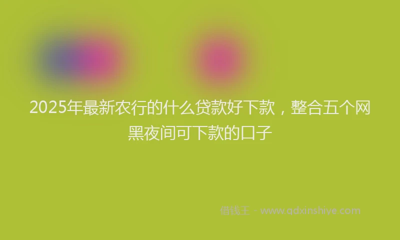 2025年最新农行的什么贷款好下款，整合五个网黑夜间可下款的口子