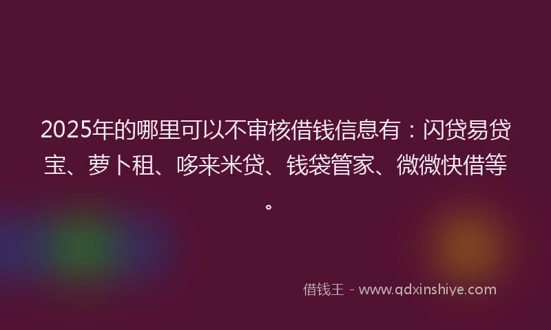 2025年的哪里可以不审核借钱信息有：闪贷易贷宝、萝卜租、哆来米贷、钱袋管家、微微快借等。