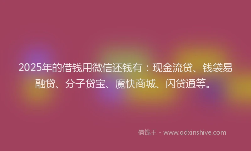 2025年的借钱用微信还钱有：现金流贷、钱袋易融贷、分子贷宝、魔快商城、闪贷通等。