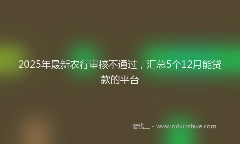 2025年最新农行审核不通过，汇总5个12月能贷款的平台