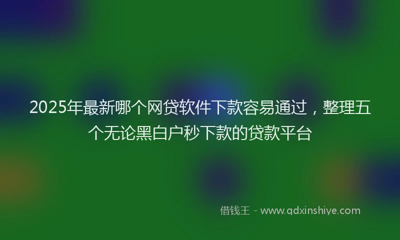 2025年最新哪个网贷软件下款容易通过，整理五个无论黑白户秒下款的贷款平台