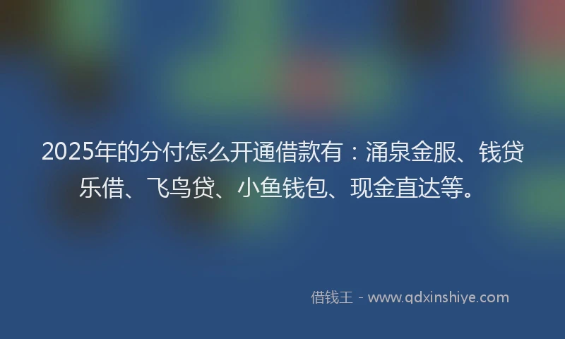 2025年的分付怎么开通借款有：涌泉金服、钱贷乐借、飞鸟贷、小鱼钱包、现金直达等。