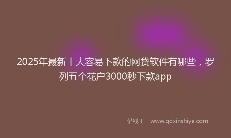 2025年最新十大容易下款的网贷软件有哪些，罗列五个花户3000秒下款app
