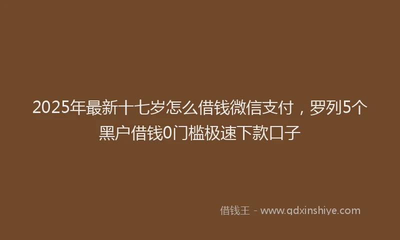 2025年最新十七岁怎么借钱微信支付，罗列5个黑户借钱0门槛极速下款口子