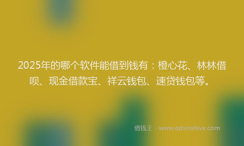 2025年的哪个软件能借到钱有：橙心花、林林借呗、现金借款宝、祥云钱包、速贷钱包等。