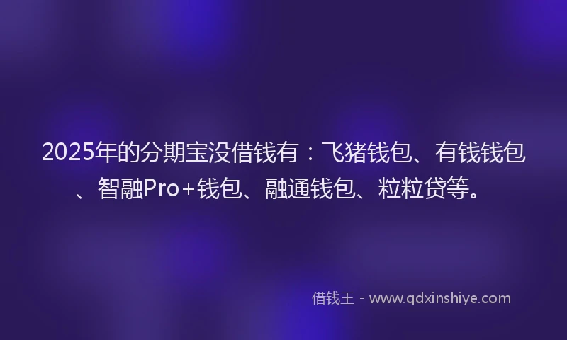 2025年的分期宝没借钱有：飞猪钱包、有钱钱包、智融Pro+钱包、融通钱包、粒粒贷等。