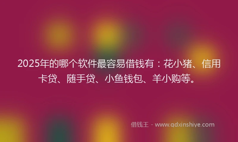 2025年的哪个软件最容易借钱有：花小猪、信用卡贷、随手贷、小鱼钱包、羊小购等。