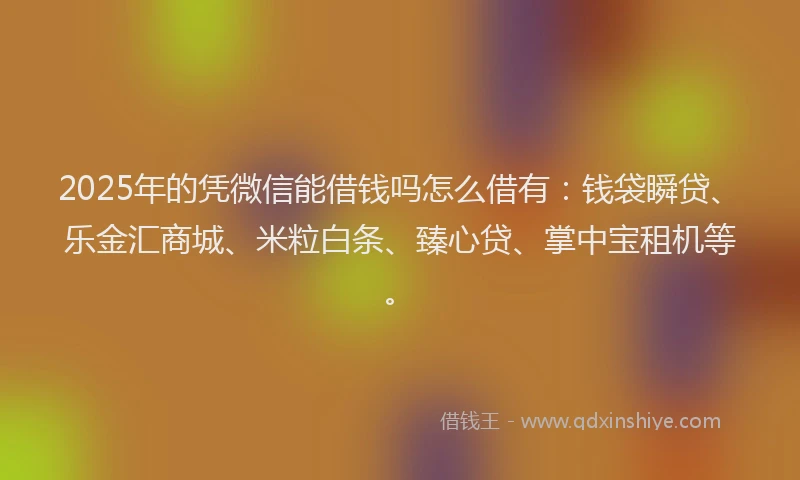 2025年的凭微信能借钱吗怎么借有：钱袋瞬贷、乐金汇商城、米粒白条、臻心贷、掌中宝租机等。