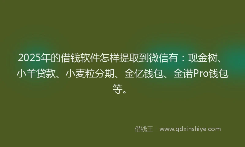 2025年的借钱软件怎样提取到微信有：现金树、小羊贷款、小麦粒分期、金亿钱包、金诺Pro钱包等。