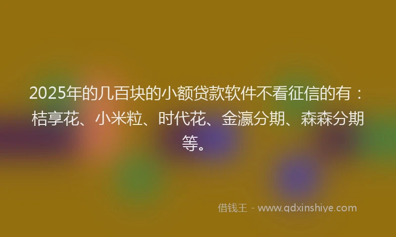 2025年的几百块的小额贷款软件不看征信的有：桔享花、小米粒、时代花、金瀛分期、森森分期等。