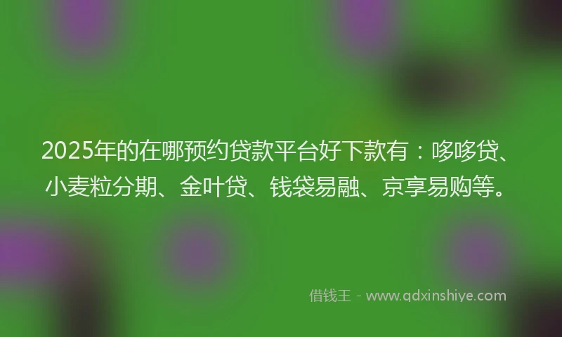 2025年的在哪预约贷款平台好下款有：哆哆贷、小麦粒分期、金叶贷、钱袋易融、京享易购等。