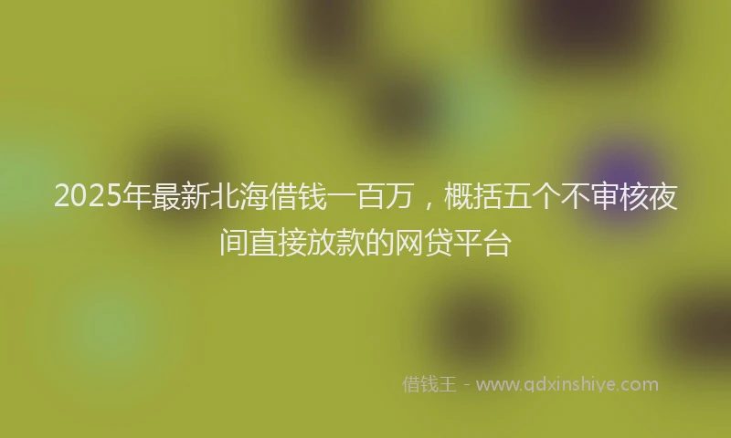 2025年最新北海借钱一百万，概括五个不审核夜间直接放款的网贷平台