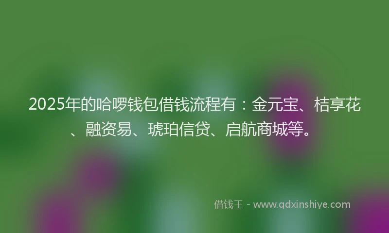 2025年的哈啰钱包借钱流程有:金元宝、桔享花、融资易、琥珀信贷、启航商城等。