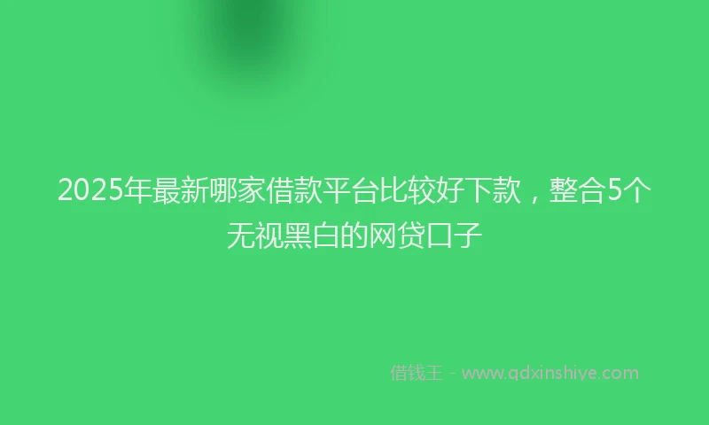 2025年最新哪家借款平台比较好下款，整合5个无视黑白的网贷口子