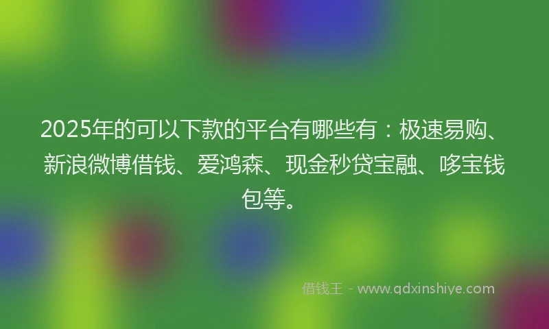 2025年的可以下款的平台有哪些有：极速易购、新浪微博借钱、爱鸿森、现金秒贷宝融、哆宝钱包等。