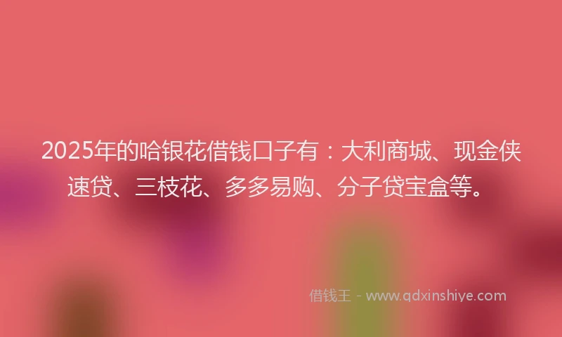 2025年的哈银花借钱口子有：大利商城、现金侠速贷、三枝花、多多易购、分子贷宝盒等。