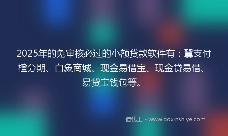 2025年的免审核必过的小额贷款软件有：翼支付橙分期、白象商城、现金易借宝、现金贷易借、易贷宝钱包等。
