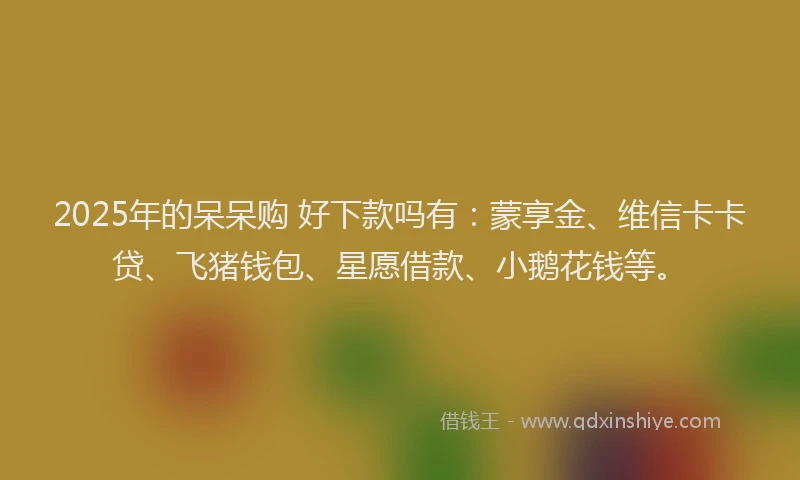 2025年的呆呆购 好下款吗有：蒙享金、维信卡卡贷、飞猪钱包、星愿借款、小鹅花钱等。