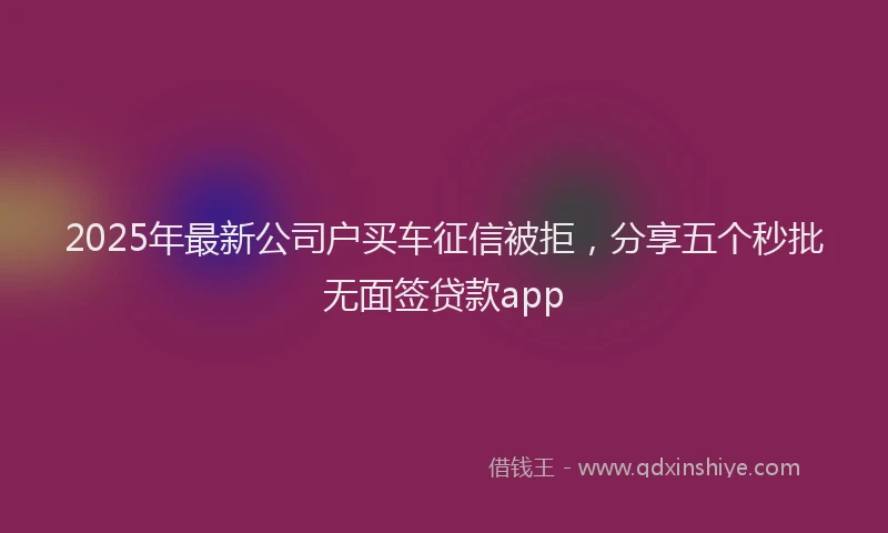 2025年最新公司户买车征信被拒，分享五个秒批无面签贷款app