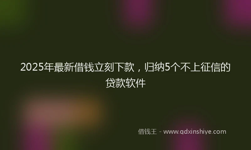 2025年最新借钱立刻下款，归纳5个不上征信的贷款软件