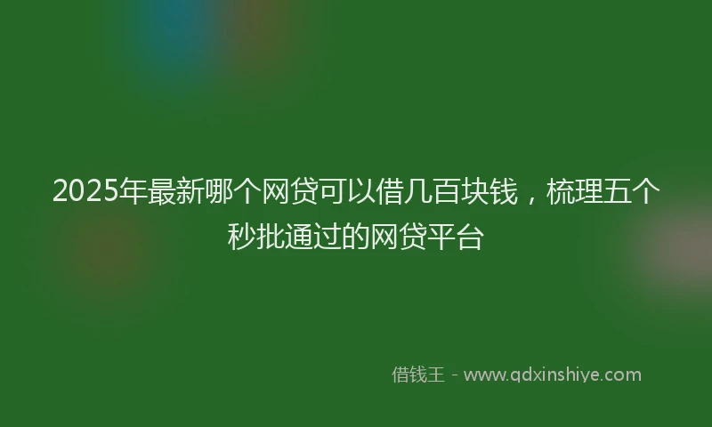 2025年最新哪个网贷可以借几百块钱，梳理五个秒批通过的网贷平台
