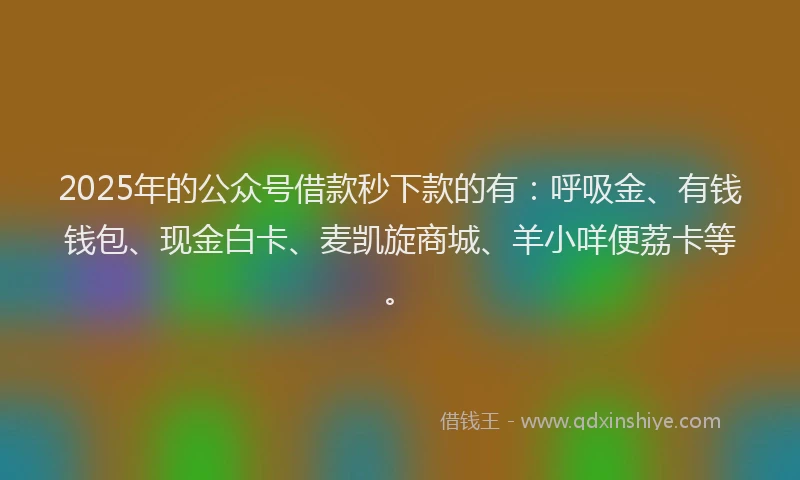 2025年的公众号借款秒下款的有：呼吸金、有钱钱包、现金白卡、麦凯旋商城、羊小咩便荔卡等。