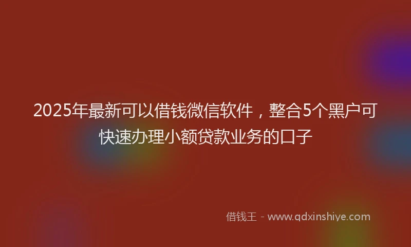 2025年最新可以借钱微信软件，整合5个黑户可快速办理小额贷款业务的口子